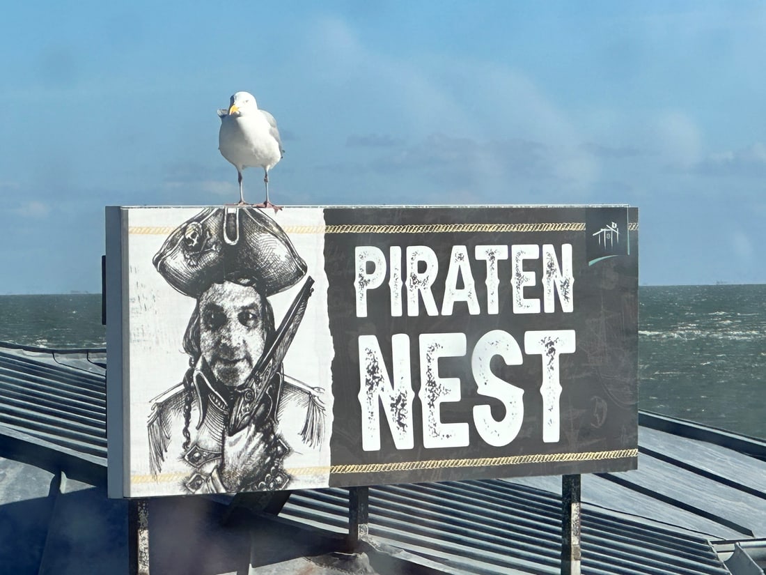 Möwe auf einem Schild am Sylter Hafen